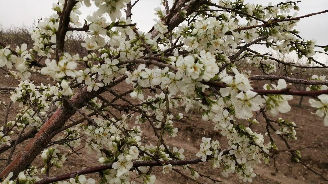 پرین بتن-صنعت سبز